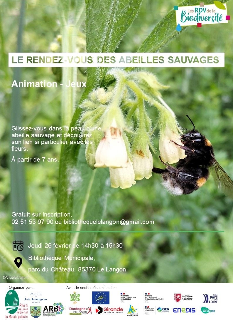 20260226 LAN rdv abeilles