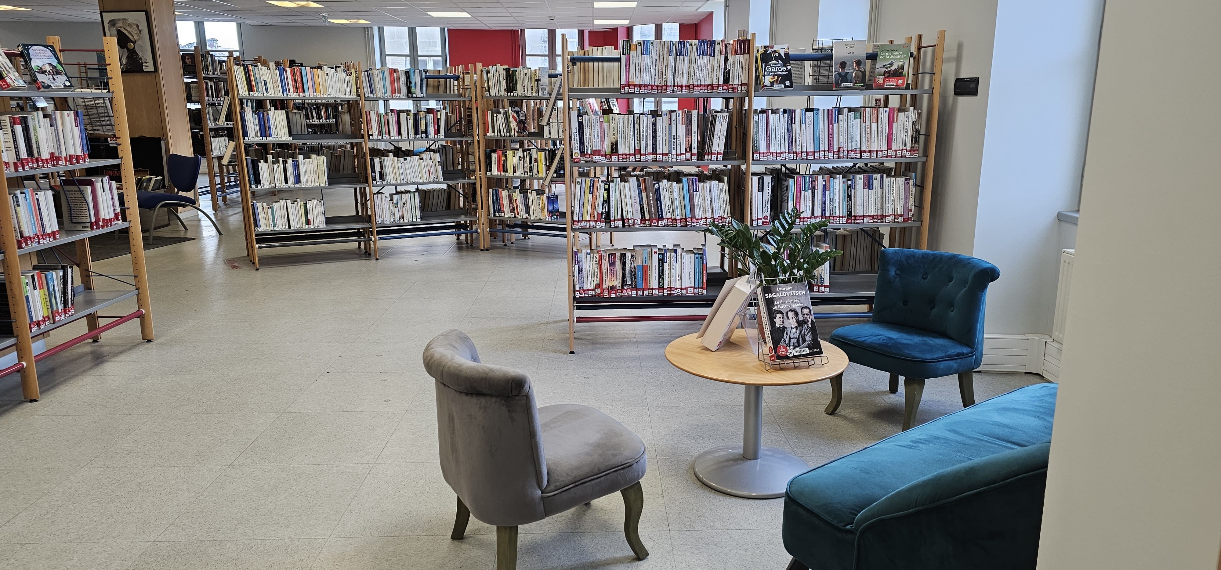Espace adulte